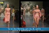 Họa tiết đồ họa thống lĩnh mùa hè 2013 Họa tiết đồ họa thống lĩnh mùa hè 2013